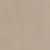 Light beige leather texture with fine granular pattern and subtle creasing, displaying a warm, neutral matte finish.