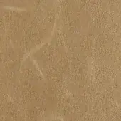Beige carpet texture with a short, dense pile and mottled appearance, displaying subtle tonal variations and faint irregular markings.