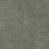 Mottled gray-green texture with a dense, irregular line pattern resembling cracks, creating depth and a weathered, organic visual effect.