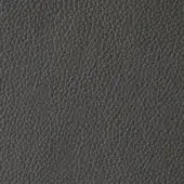 Dark gray leather texture, densely pebbled grain, matte finish, natural material, subtle shading, Arketipo Pelle First sample 110030004111.