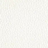 White quilted leather texture displaying a repeating square pattern, smooth matte finish, and subtle topographic variation.