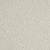 Light gray leather texture, “pelle plus,” displays a fine, irregular grain pattern with subtle creases and a smooth, matte finish.