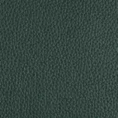 Dark teal pebbled leather texture with a dense, repeating bump pattern and matte finish; Arketipo Pelle Plus 110030004037 material.