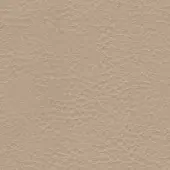Light beige leather texture with a dense, irregular grain and matte finish, presenting a uniform, subtly organic pattern throughout the composition.