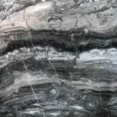 Arabesque Grey marble texture displaying swirling grey, black, and beige bands with white veins, polished finish, and natural stone imperfections.