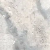 Niveo white marble texture displaying cool white and gray mottled patterns with a rough, granular, honed finish.