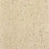 Pietra arenaria stone texture, light beige with granular surface, featuring fossilized inclusions and porous, uneven quality.