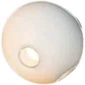 Bocci 28 ceiling light, opaque grey, features a large matte disc with a central illuminated aperture and subtly angled edges.