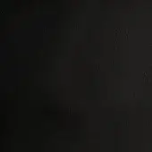 Black leather texture sample with a fine, pebbled grain and matte finish; identified as bonaldo secret (800) 341 eco leather.