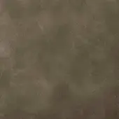 Textured surface in warm gray-brown, displaying a mottled, granular quality with diffused lighting and a subtly uneven, vintage-style finish.