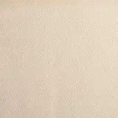 Bonaldo Capri leather texture, light beige, with a fine, irregular pebbled grain and matte finish, studio lighting.