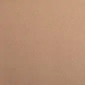 Capri leather texture, neutral beige tone, fine grain pattern, smooth matte finish, durable upholstery material.