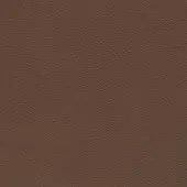 Brown leather texture with irregular linear pattern, matte finish, and subtle tonal variations; close-up studio shot of Capri L54 leather sample.