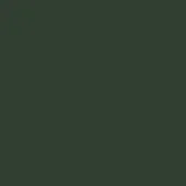 Dark green monochromatic color field, smooth matte surface, consistent tone, simple composition, no texture or gradients, solid color swatch.