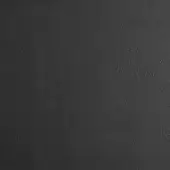 Black leather texture displaying a matte finish, irregular grain, and subtle wrinkles against a neutral backdrop, showing a dense, porous surface.