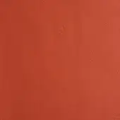 Reddish-brown leather texture with embossed grain pattern against white, displaying a matte finish and warm terracotta color with subtle tonal variations.