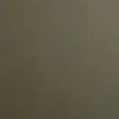 Olive-green pebbled leather texture sample, matte finish, consistent grain, Bonaldo leathers collection, studio lighting, neutral tone.