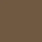 Medium brown color field, uniform tone, subtle saturation variations, matte finish, even lighting, flat consistent surface, no discernible patterns.