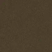 Bronze metal texture with a granular, brushed finish displaying muted warm tones and a consistent, matte surface pattern.
