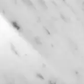 Carrara marble texture, polished white surface, diagonal gray veining, fine grain, reflective finish, Cattelan Italia material sample.