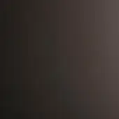 Gray gradient background transitioning from dark to light, displaying a smooth, uniform tone with diffused lighting and minimalist composition.