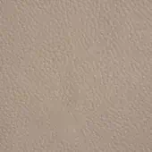 Beige leather texture displaying a granular grain pattern, matte finish, and consistent tone suitable for upholstery applications.