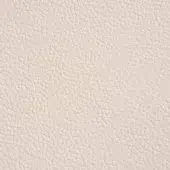 Soft leather texture, oyster 744 color, dense grain pattern, matte finish, full-grain, Cattelan Italia 947 model.