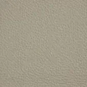 Soft leather texture, light gray “cenere” shade, dense granular grain, matte finish; Cattelan Italia 949 cenere 746 sample.