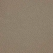 Cattelan Italia soft leather upholstery, 951 castoro 1731, displays a light beige matte finish with dense, irregular grain texture.