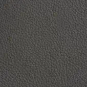 Dark gray leather texture with a dense, pebbled grain and matte finish, displaying subtle shading and an interwoven pore network.