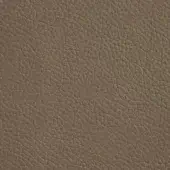 Tanned leather texture displaying a dense grain pattern with irregular wrinkles, finished matte in a warm neutral brown tone.