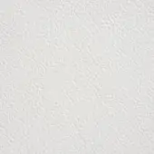 White leather texture with a pebble grain pattern, smooth glossy finish, and tonal variations; Cattelan Italia "971 Bianco 60" style.