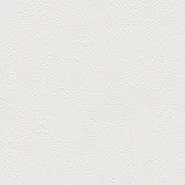 Cattelan Italia ECP01 Bianco 634 texture, white synthetic leather with fine grain and subtle, irregular linear creases, matte finish.