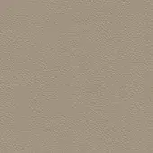 Beige synthetic leather texture with a fine, raised pebbled pattern and smooth, consistent surface for durable upholstery or covering.