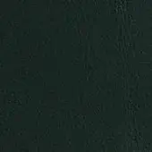 Dark green leather texture with mottled surface, fine creases, and matte finish; dv home collection nuvola, 128 abete finish.