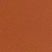 Leather texture sample in zucca color with a pebbled grain and matte finish, displaying tonal variations for depth.