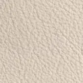 Beige leather texture, granular surface with fine lines, matte finish, “dv home collection” nuvola 198 ostrica sample.