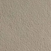 Beige fabric texture with a mottled surface, displaying small bumps and indentations; includes text “dv home collection > leather > nuvola > 199 canapa”.