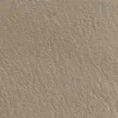 Leather texture, sandy beige with granular pattern, displaying “dv home collection” text overlay, suitable for interior design.
