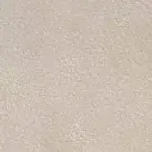 Royal nabuk leather texture, light beige, dense granular pile from dv home collection, warm neutral tone, soft velvety finish.