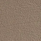 Tan leather texture with a rough, granulated surface and muted brown tones, displaying an irregular pattern of bumps and ridges throughout.