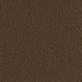 Leather texture sample, dark chocolate brown, granular surface with mottled tone; dv home collection Zaffiro model 1627 indicated.