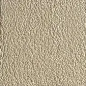 Light beige leather texture with dense speckles, exhibiting a granular, matte finish and uniform, tactile quality.