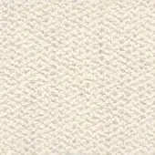 Creamy off-white textured fabric sample, dense woven structure with nubby knots, identified as “potter 503” from the Ditre Italia collection.
