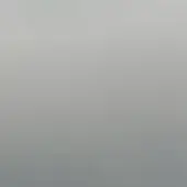 Uniform gray gradient background, transitioning from light to dark, with smooth, even lighting and a featureless, monochromatic composition.