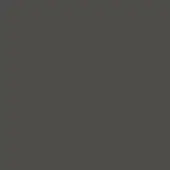 Ditre Italia le01 antracite lacquered finish swatch, matte deep gray, uniform color with subtle luminosity variations, smooth non-reflective surface.