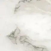 Carrara Bianco marble texture, white with irregular grey veining, polished finish displaying branching patterns and a fine-grained surface.