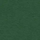 Dark green leather texture, smooth granular surface, natural grain, muted forest tone, showcasing Lisboa 242 material from Ditre Italia’s Luxor collection.