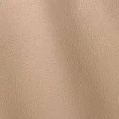 Light beige leather texture with a fine, consistent grain and subtle sheen, displaying a smooth, uniform surface ideal for upholstery.