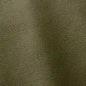 Ditre Italia Polar 257 leather texture, muted olive green, dense granular pattern, matte finish, natural distressed surface.
